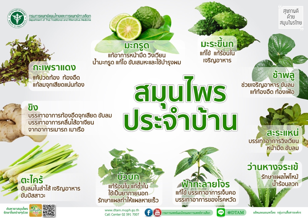 สมุนไพรประจำบ้าน