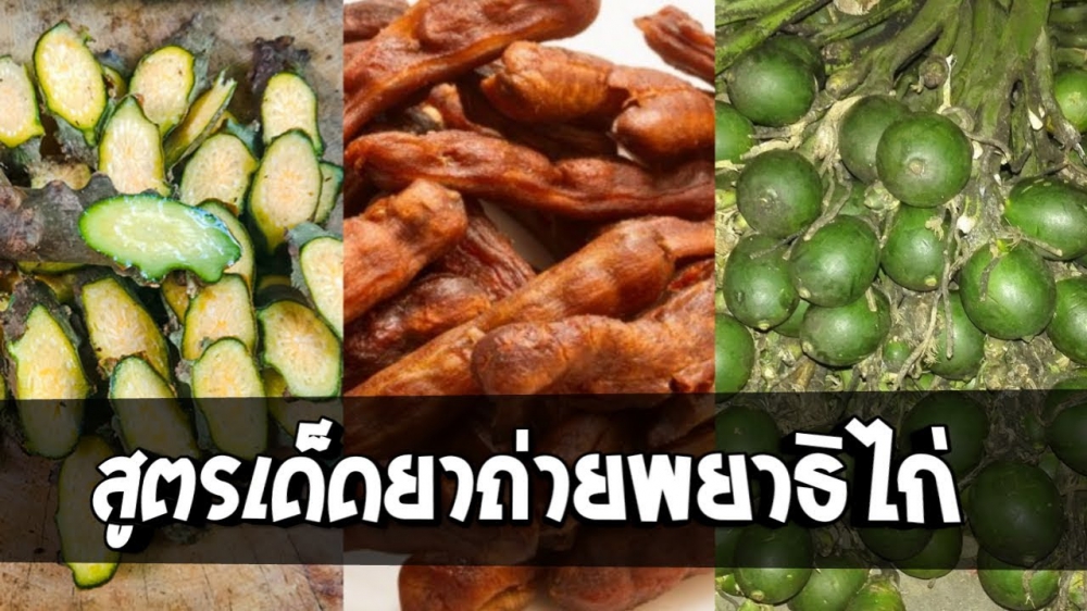 สมุนไพรสูตรถ่ายพยาธิไก่