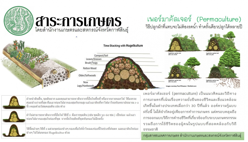 เพอร์มาคัลเจอร์(Permaculture)วิธีปลูกผักที่แทบจะไม่ต้องรดน้ำ