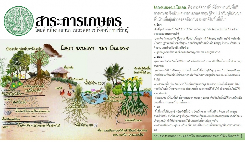 โคก-หนอง-นาโมเดลคือการจัดการพื้นที่ซึ่งเหมาะกับพื้นที่การเกษตร