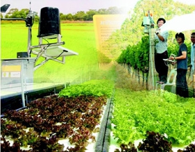 เกษตรอัจฉริยะ...จุดเปลี่ยนอนาคตอาหารโลก