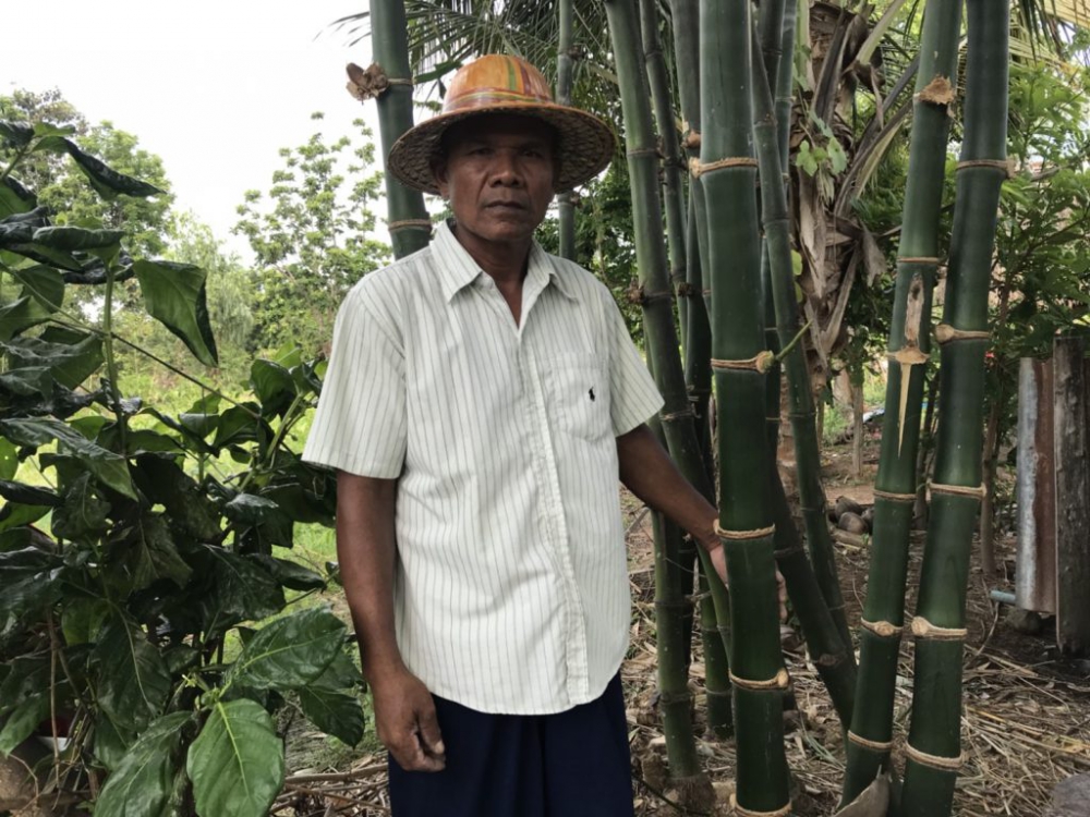 ชาวสุรินทร์เปลี่ยนชีวิตหันปลูกไผ่ปลดหนี้