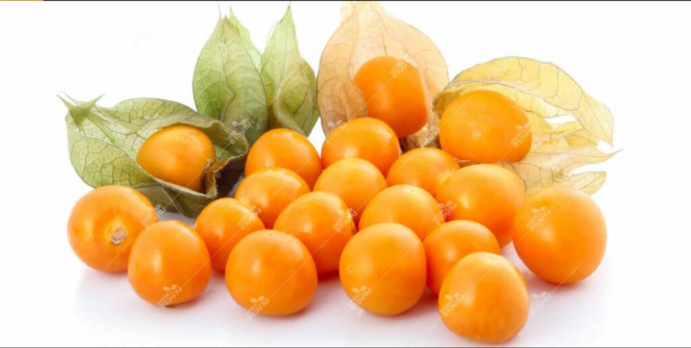 “เคพกูซเบอรี่” ผลไม้ดีเพื่อสุขภาพ