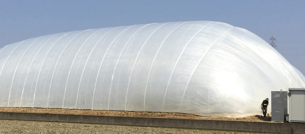 เทคโนโลยีโดมปลูกผัก