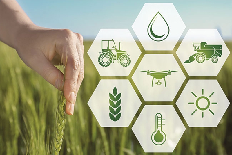 Agritechการเกษตรสมัยใหม่ที่ใช้เทคโนโลยีเป็นตัวขับเคลื่อน