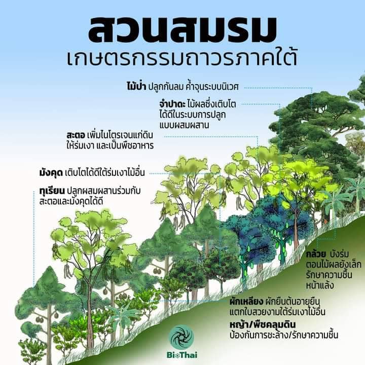 สวนสมรมเกษตรกรรมถาวรภาคใต้