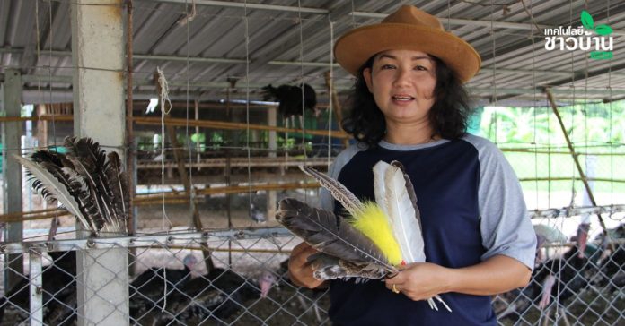 วิสาหกิจชุมชนไก่งวง