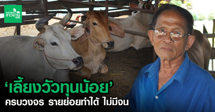 ตัวอย่าง“เลี้ยงวัวทุนน้อย”