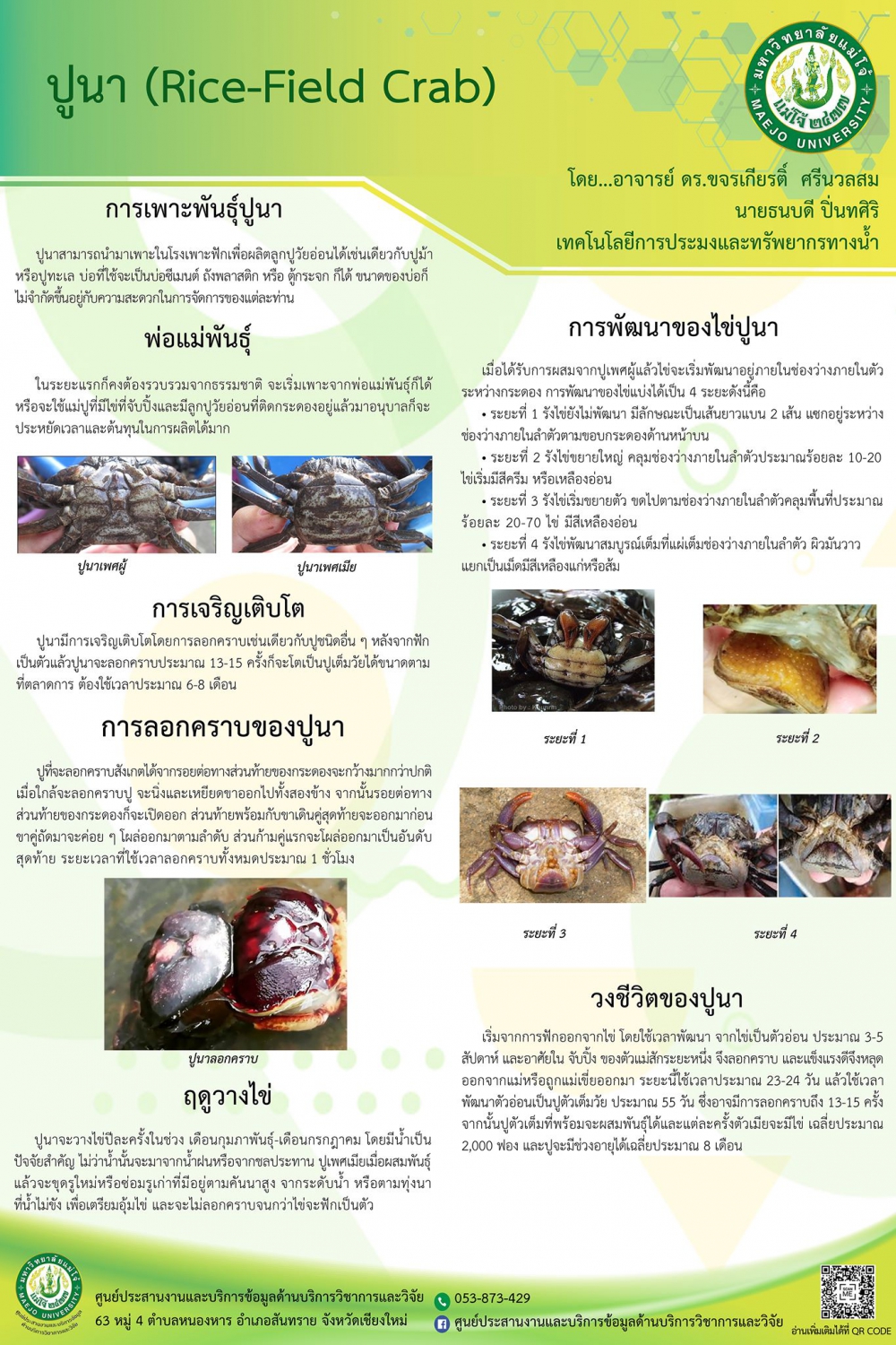 ปูนา(Rice-FieldCrab)โดยอาจารย์ดร.ขจรเกียรติ์ศรีนวลสม,