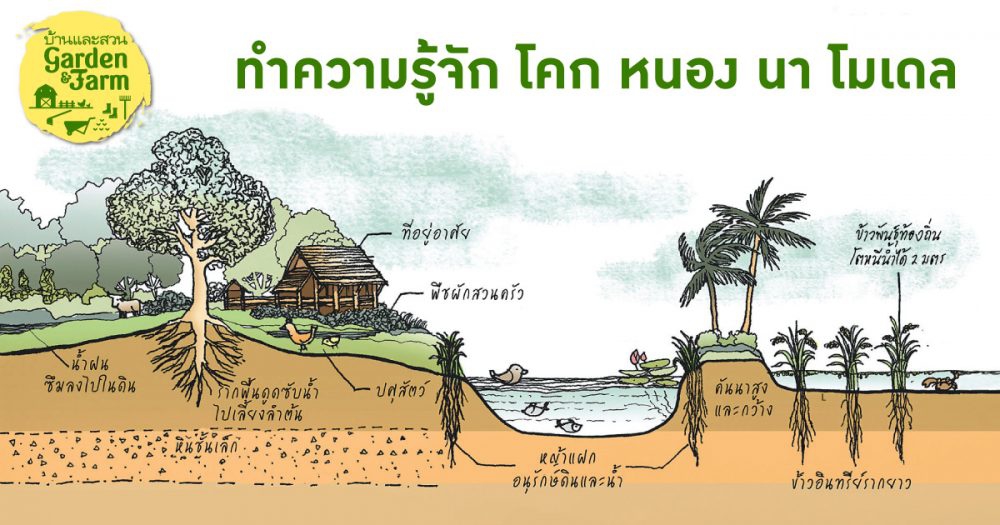 ทำความรู้จัก โคกหนองนา โมเดล