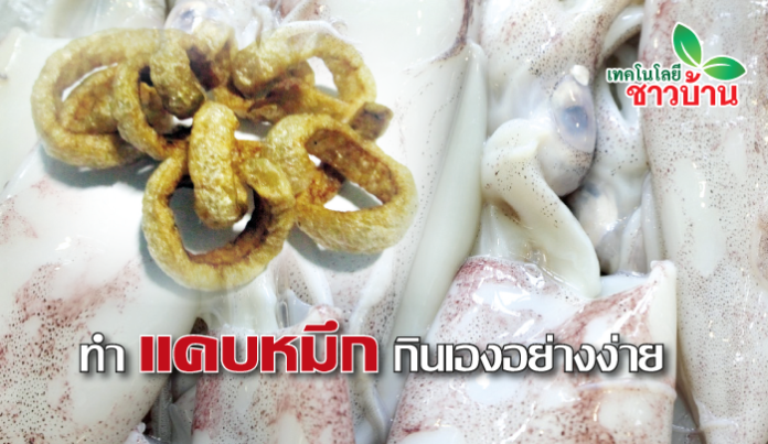 แคบหมึกอย่างง่าย ลองทำดู คุณทำได้