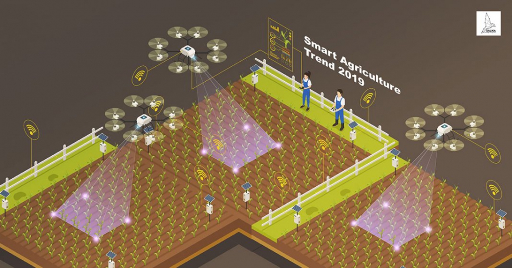 ส่อง‘เทรนด์เทคโนโลยีเกษตรอัจฉริยะ’