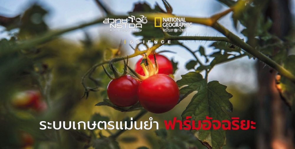 HandySense ระบบฟาร์มอัจฉริยะ (Smart Farm)