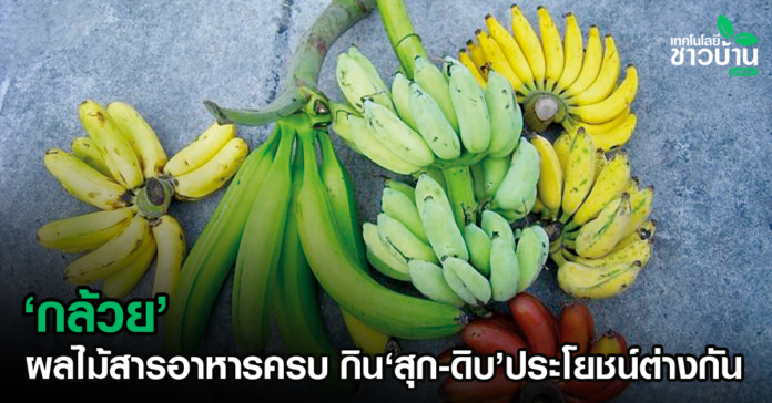 “กล้วย”ผลไม้ที่มีสารอาหารครบถ้วน
