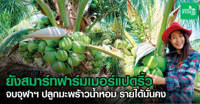 ยังสมาร์ทฟาร์มเมอร์แปดริ้ว