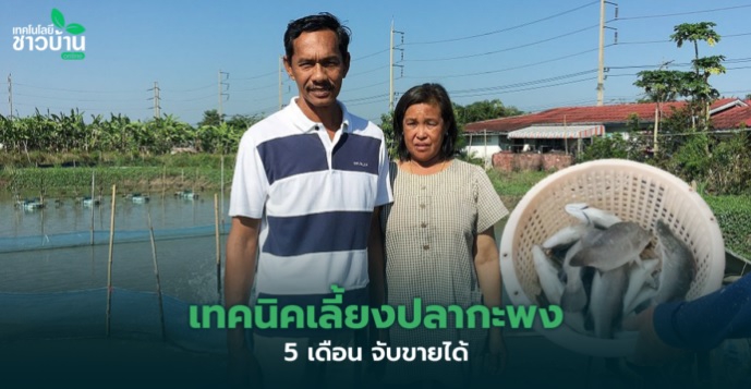 เกษตรกรฉะเชิงเทรา