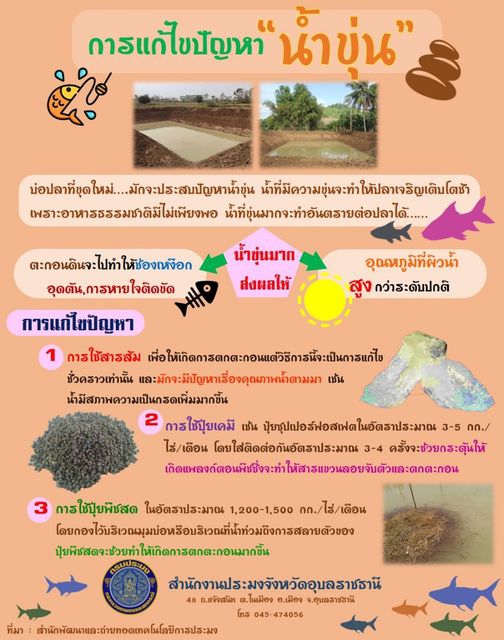 วิธีการแก้ไขปัญหาน้ำขุ่นทำอย่างไรมาดูกัน