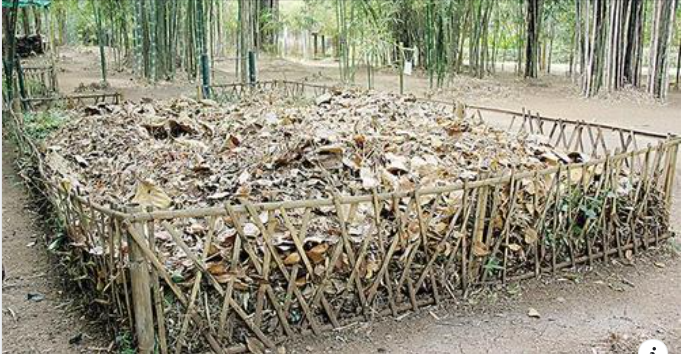 ปุ๋ยหมักใบไม้ ทำง่ายประโยชน์คุ้ม