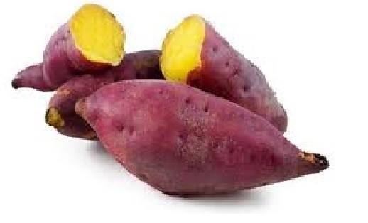 การใช้เทคโนโลยีการผลิตมันเทศ พืชใช้น้ำน้อย