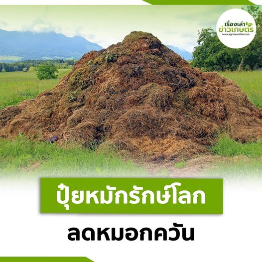 ปุ๋ยหมักรักษ์โลก ลดหมอกควัน ฝุ่นละออง PM 2.5