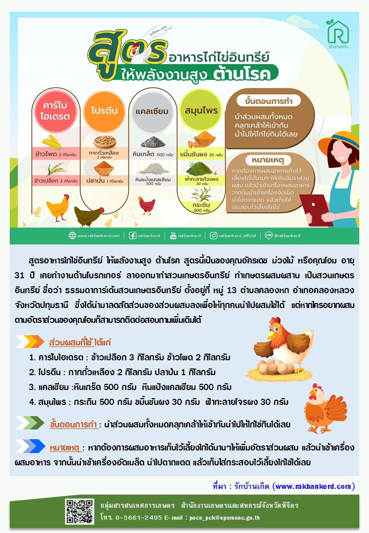 สูตรอาหารไก่ไข่อินทรีย์ ให้พลังงานสูง ต้านโรค