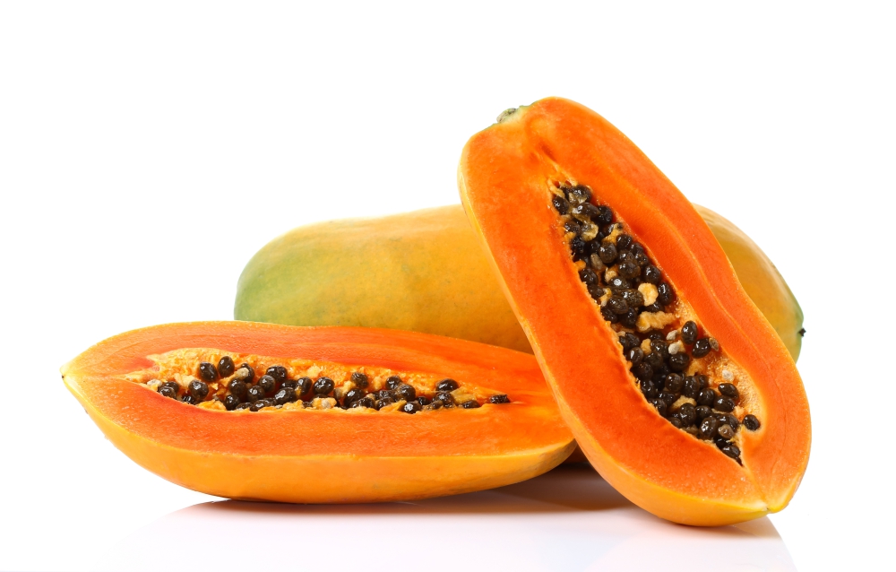 การปลูกมะละกอ ในยางรถยนต์