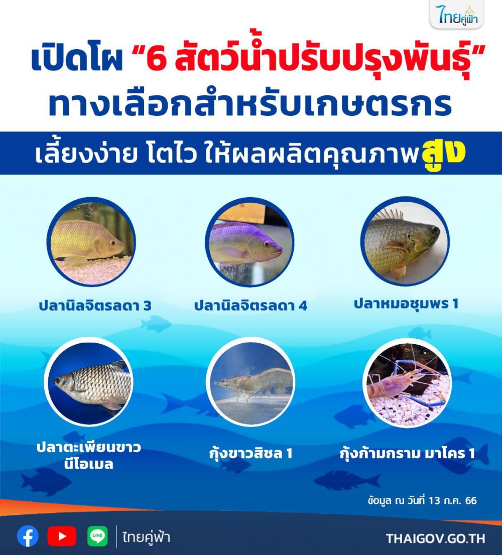 เปิดโผ“6สัตว์น้ำปรับปรุงพันธุ์”