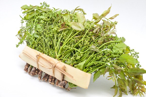 สะเดาป้องกำจัดศัตรูพืช