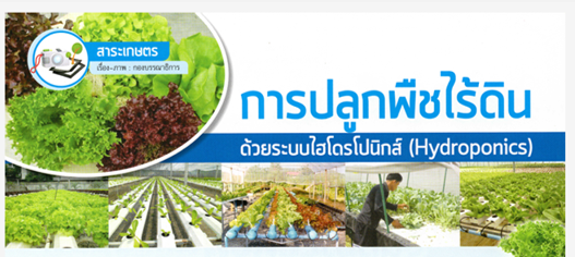 การปลูกพืชไร้ดิน ด้วยระบบไฮโดรโปนิกส์ (Hydroponics)