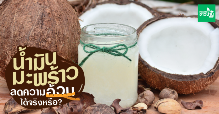 “น้ำมันมะพร้าว” ลดความอ้วนได้จริงหรือ?!