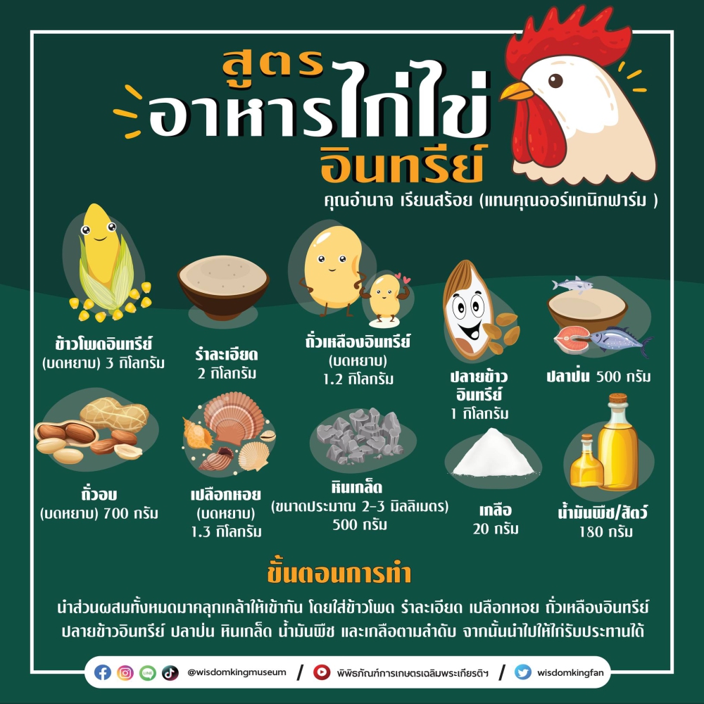 อาหารไข่ไก่อินทรีย์