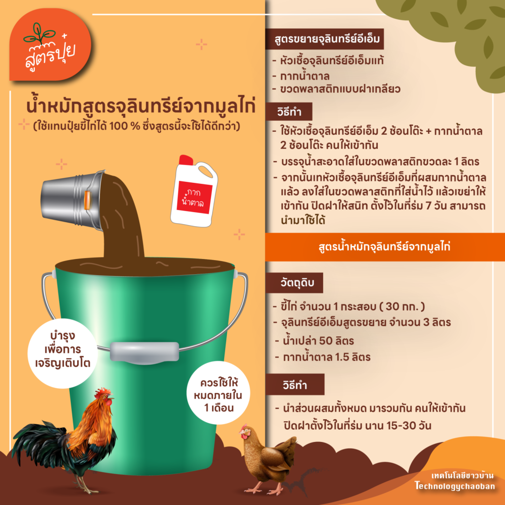 น้ำหมักสูตรจุลินทรีย์จากมูลไก่