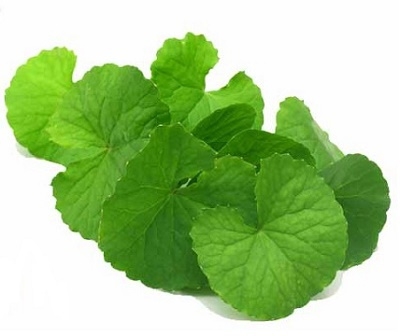 วิธีทำจุลินทรีย์สังเคราะห์แสง