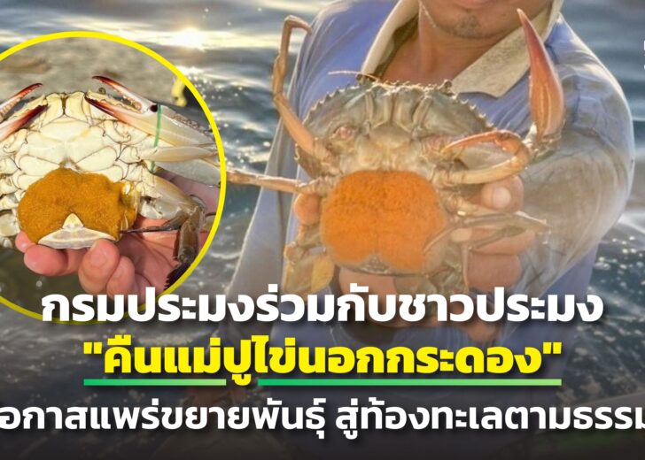 กรมประมงร่วมกับชาวประมง