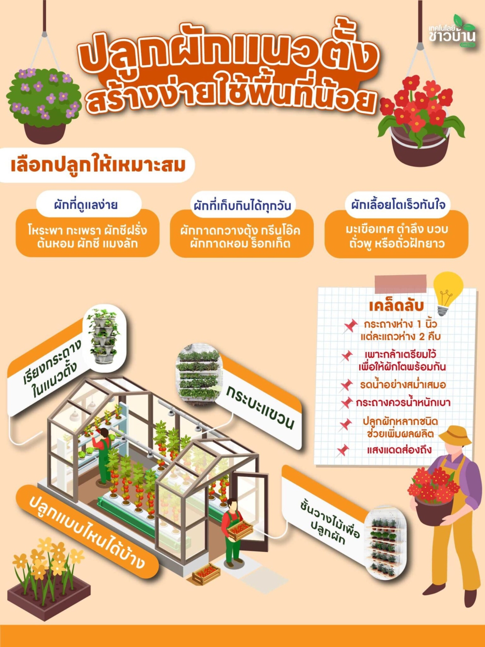 ปลูกผักแนวตั้งประหยัดพื้นที่ใช้น้ำน้อย
