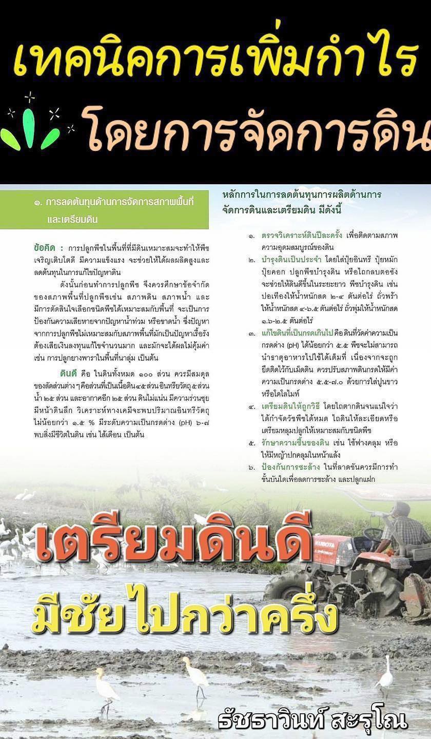เทคนิคการเพิ่มกำไร โดยการจัดการดิน