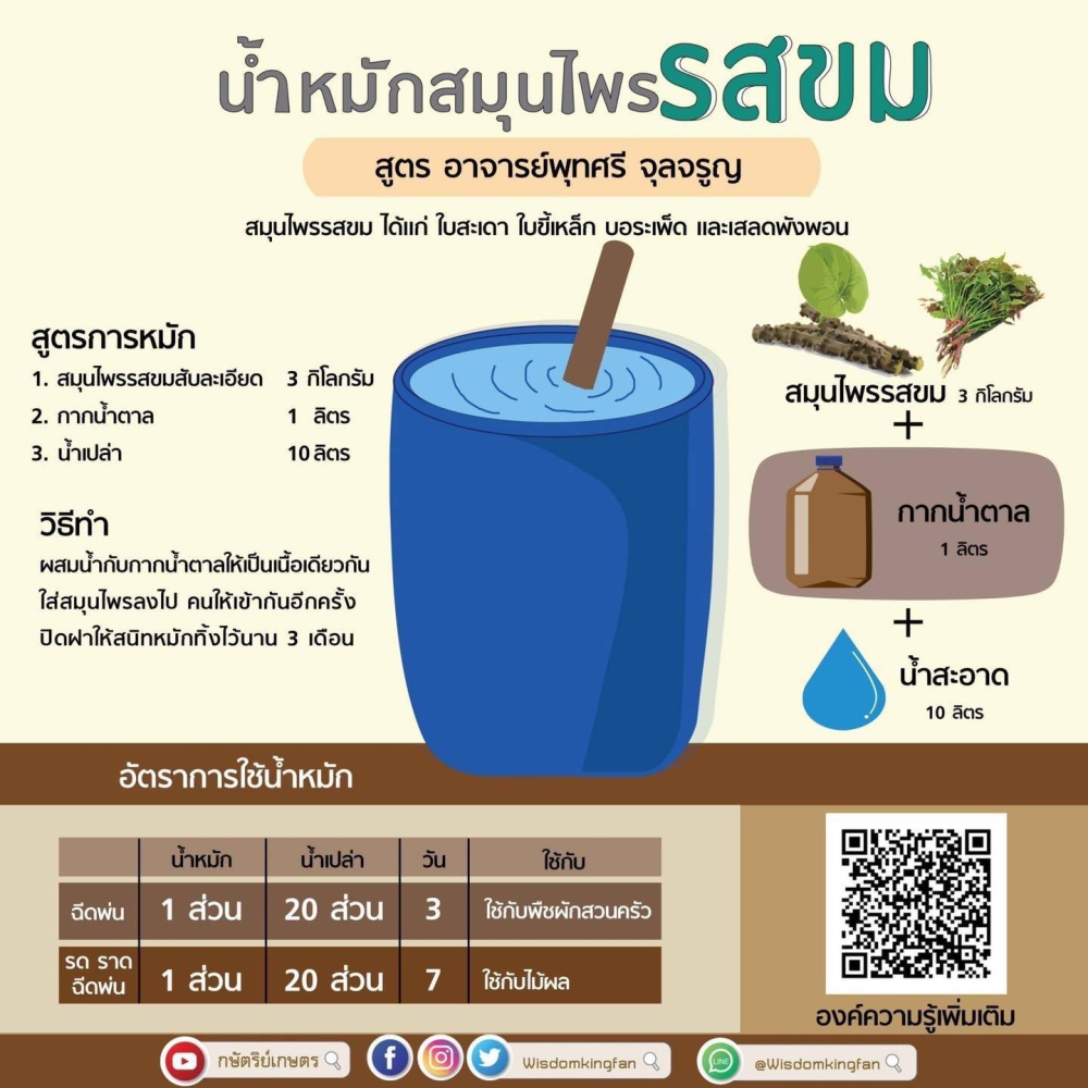น้ำหมักสมุนไพร รสขม