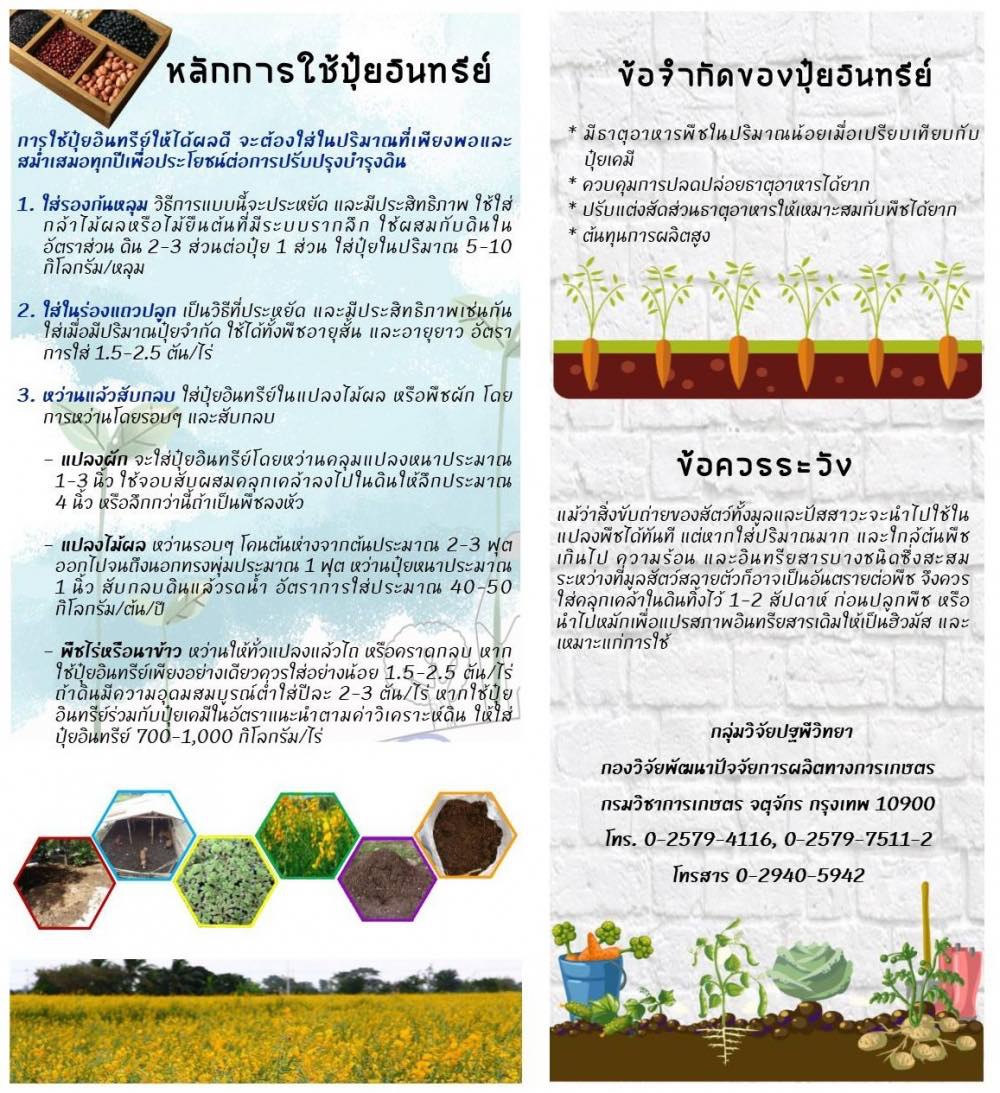 หลักการใช้ปุ๋ยอินทรีย์ให้ได้ประโยชน์