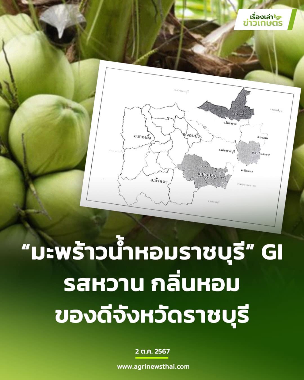 มะพร้าวน้ำหอมราชบุรี