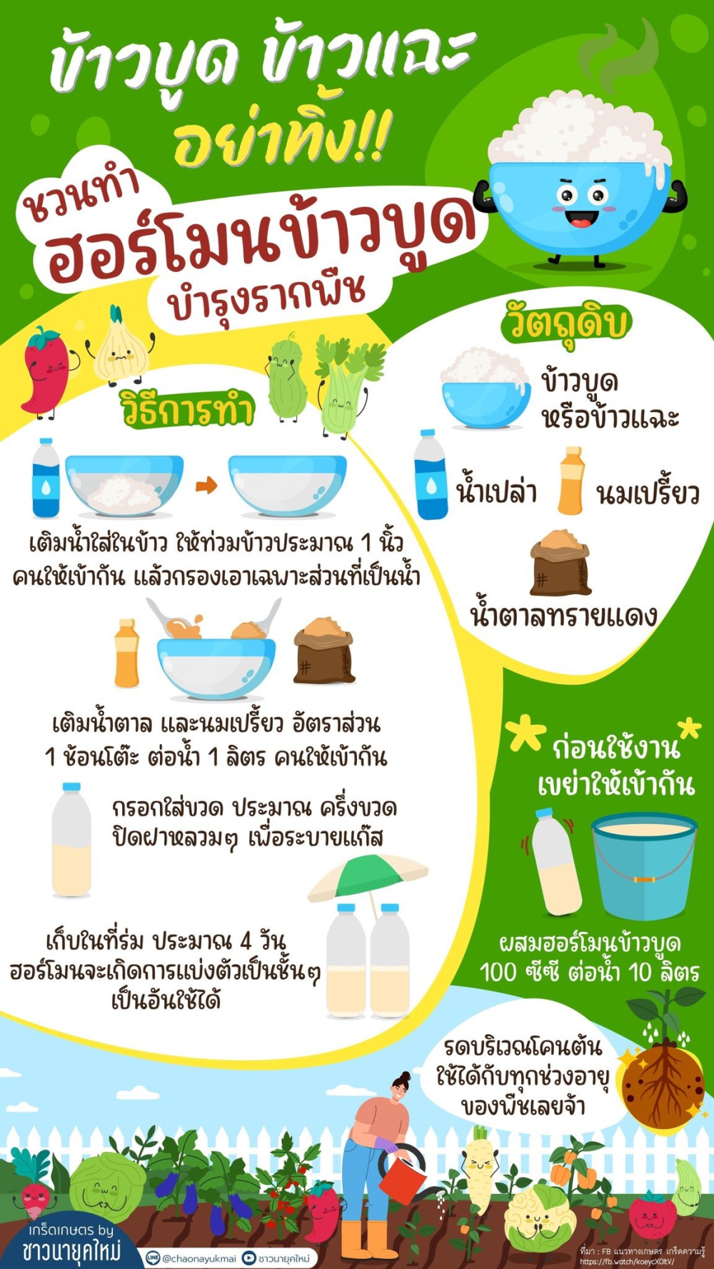 ฮอร์โมนข้าวบูด