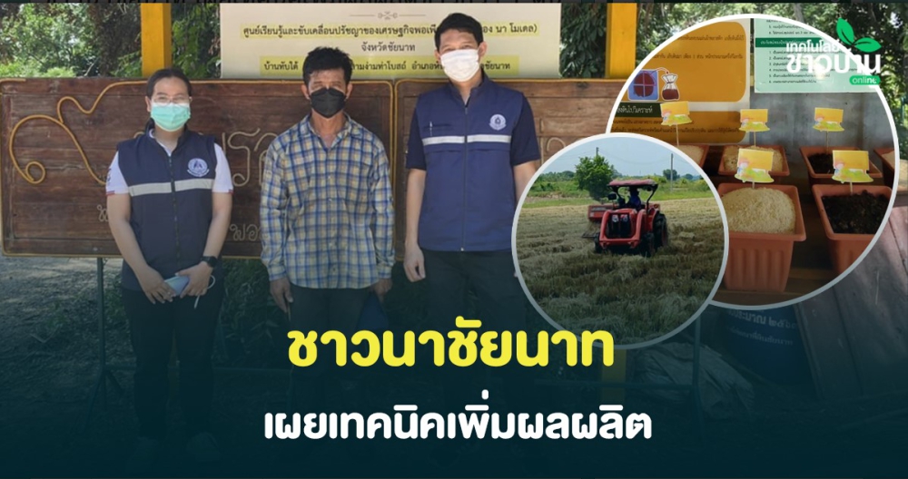 ชาวนาชัยนาท เผยเทคนิคเพิ่มผลผลิตข้าวกว่า 1 ตันต่อไร่