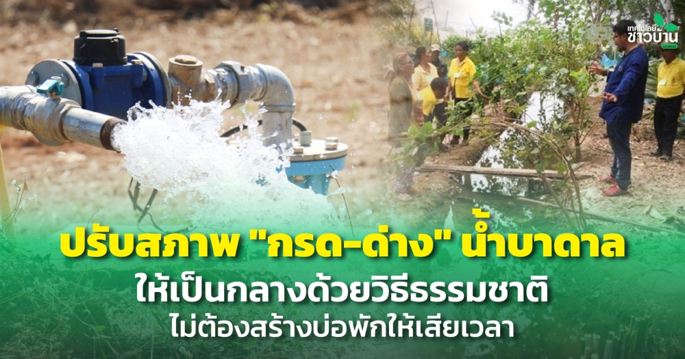 ปรับสภาพ“กรด-ด่าง”น้ำบาดาลให้ค่าเป็นกลางด้วยวิธีธรรมชาติ