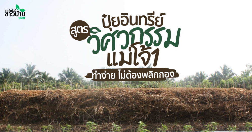 วิธีทำปุ๋ยอินทรีย์สูตร