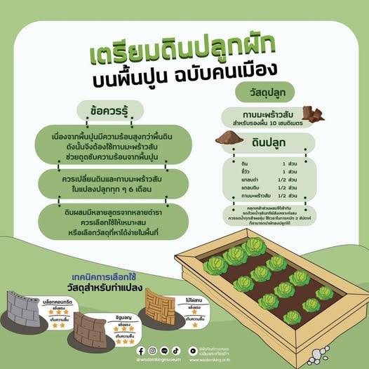 เตรียมดินปลูกผัก บนพื้นปูน