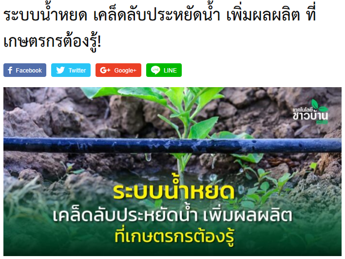 ระบบน้ำหยดเคล็ดลับประหยัดน้ำ