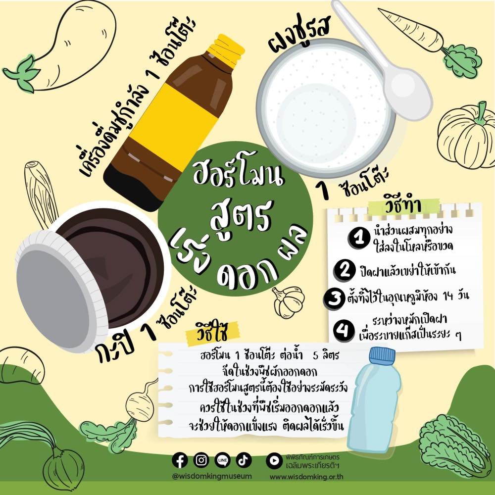 ฮอร์โมน สูตร เร่งดอกผล