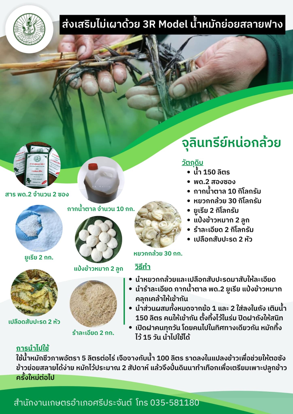 จุลินทรีย์หน่อกล้วย