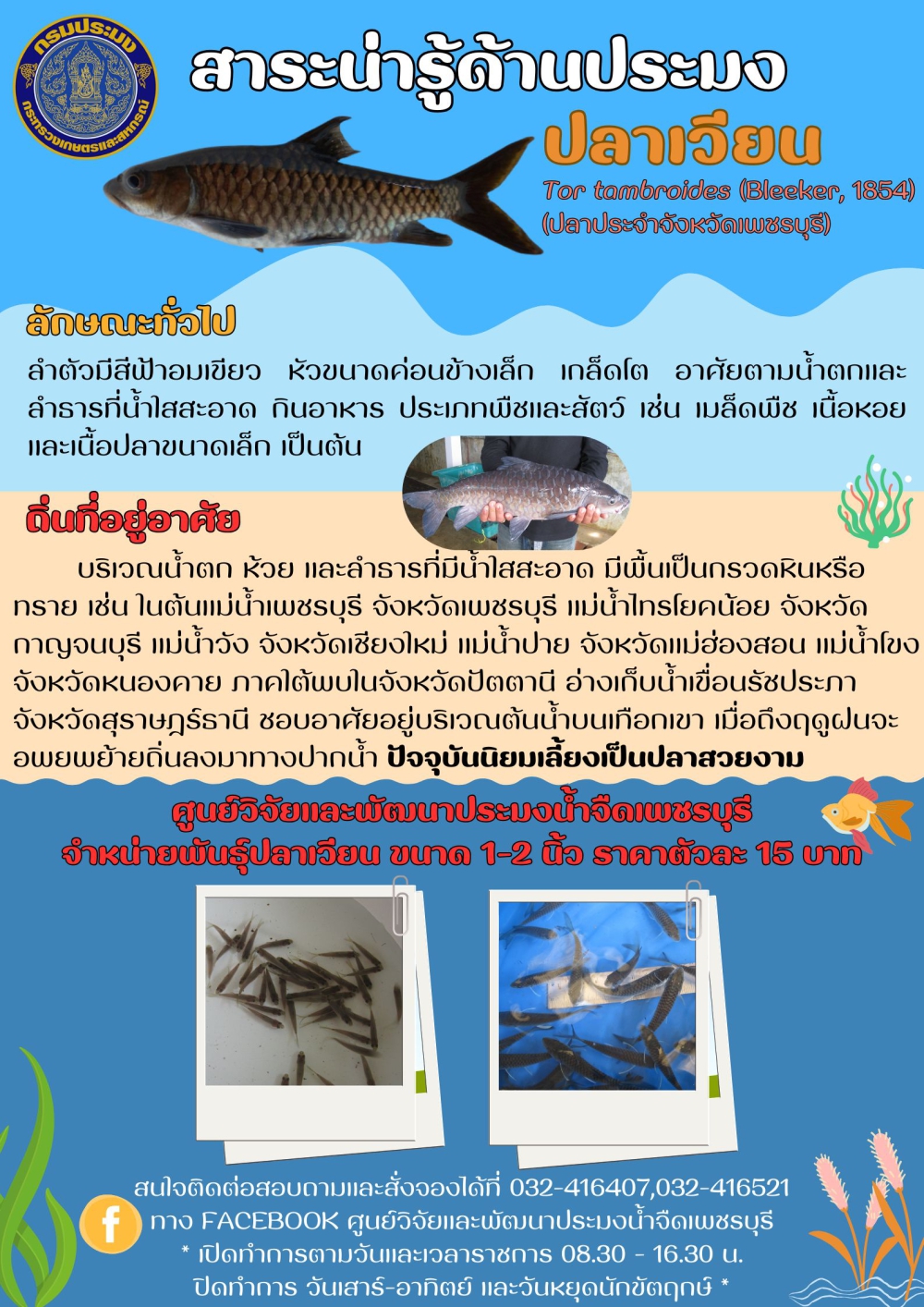 ปลาเวียน
