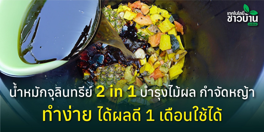 น้ำหมักจุลินทรีย์