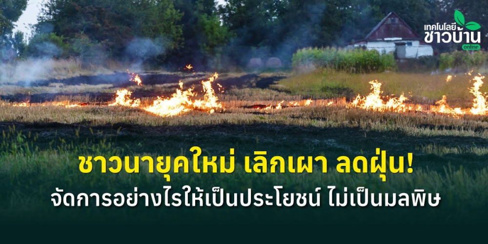 ชาวนายุคใหม่เลิกเผาลดฝุ่นจัดการอย่างไรให้เป็นประโยชน์